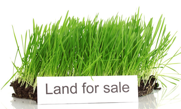 Green Grass With Ground As Concept Of Land Sale Isolated