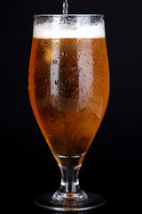 Glass of beer isolated on black