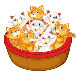 Crédence de cuisine en verre imprimé Chats chatons