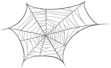 a spider net
