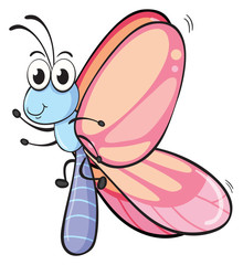 a butterfly