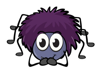 a spider