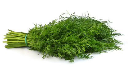 Fresh uncooked dill on white