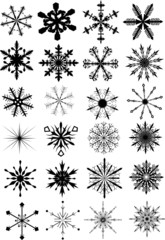 twenty four snowflakes on white