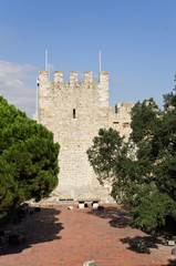 Fototapeta na wymiar chateau saint georges lisbonne