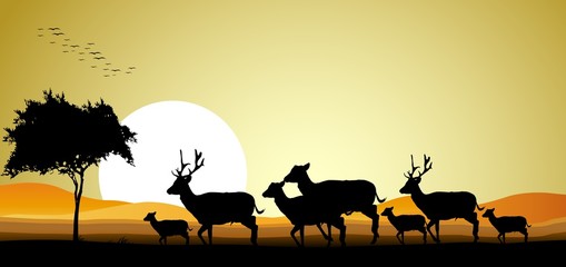 Plakat sylwetka piękna sylwetka jelenia z tle zachodu słońca