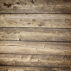 Fototapeta premium Wood wallpaper