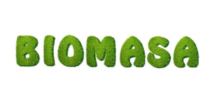 Biomass.
