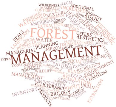 Word cloud for Forest management