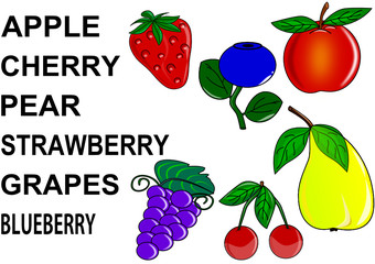 Fruit with descriptions