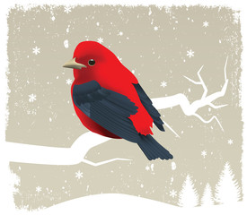 Bird on tree (winter)