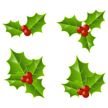 Set of Christmas holly icons