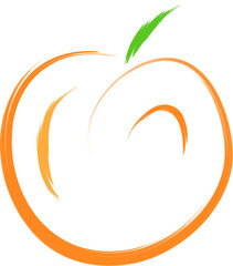 sketch of orange peach fruit