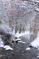Winter landscape with small river