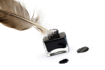 Feather pen set of abstract colour
