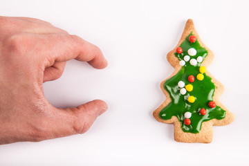 Weihnachtsbaum Keks mit Hand und Platz für Hinweis