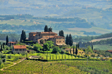 Tuscany vineyard 04 - obrazy, fototapety, plakaty