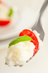 Tomato and basil risotto