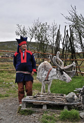 Same mit Rentier am Nordkap ( Norwegen )