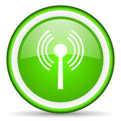 wifi green glossy icon on white background