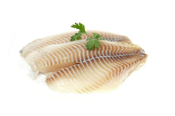 filet de tilapia