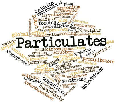 Word cloud for Particulates