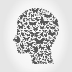 Butterfly a head