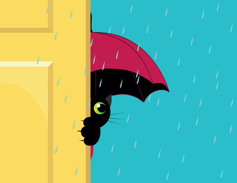 Cat Under An Umbrella