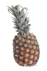 Whole Pineapple on White Background.