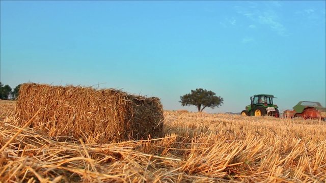 bale and agricultural baler machine and