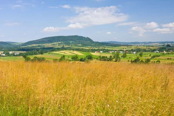 Foto auf Acrylglas Polish countryside landscape © dziewul