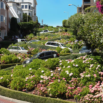 San Francisco - Lombard street