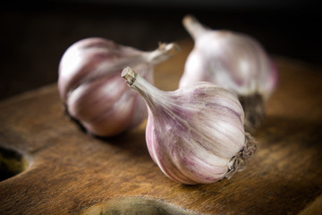 Garlic