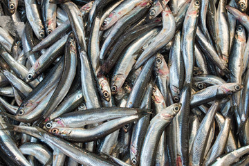 Obraz premium Anchovies on the fish market