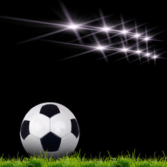 soccer ball on the green grass