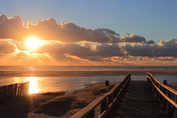 Obraz premium Ocean song