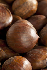Raw Organic Brown Chestnuts