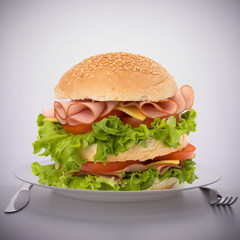 Fast food big sandwich  on plate