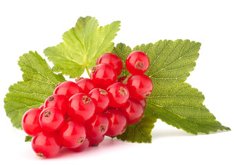 Red currants and green leaves still life