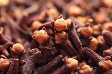 Macro of spice cloves