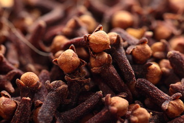 Macro of spice cloves