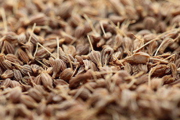 Dried herbs in macro