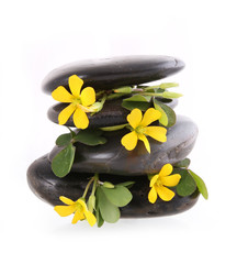 spa stones with yellow flowers isolated on white