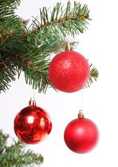 red Christmas balls on Christmas tree branch, isolated