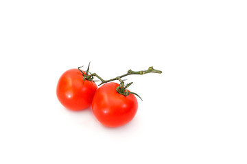 Two tomatoes on a branch