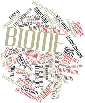Word cloud for Biome