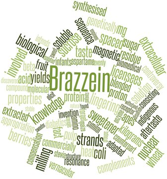 Word cloud for Brazzein