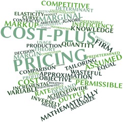 Word cloud for Cost-plus pricing