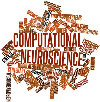 Word cloud for Computational neuroscience