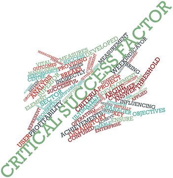 Word cloud for Critical success factor